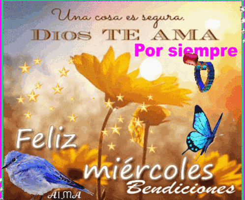 Feliz Miercoles GIF