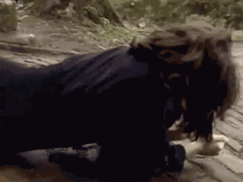 Fernanda Torres Janete Clair GIF