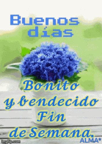 Fin De Semana Bonito GIF