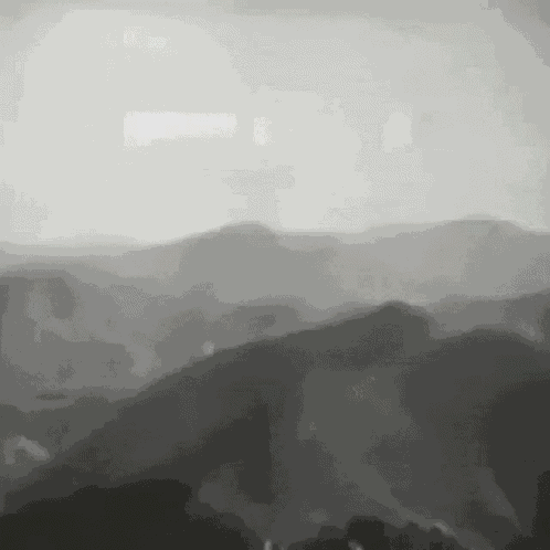 Fin The End GIF
