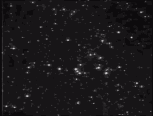 Fin The End GIF
