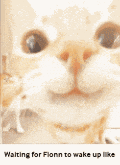 Fionn Wake Up GIF