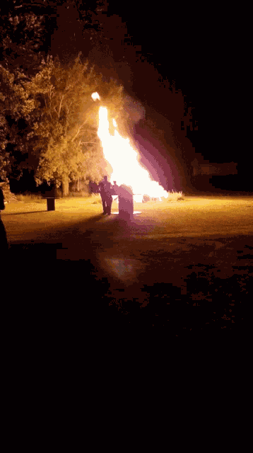 Fire Bonfire GIF