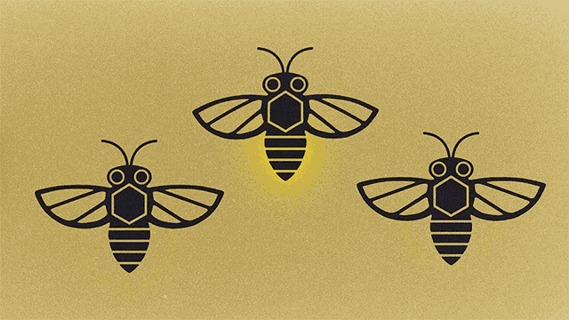 Fireflies Alan Jackson GIF