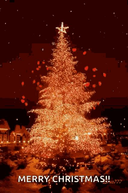 Fireworks Christmas Tree GIF