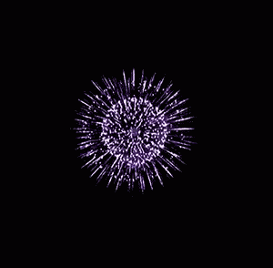 Fireworks Explosion GIF