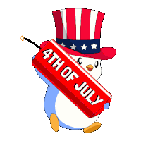 Fireworks Usa Sticker