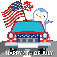 Fireworks Usa Sticker