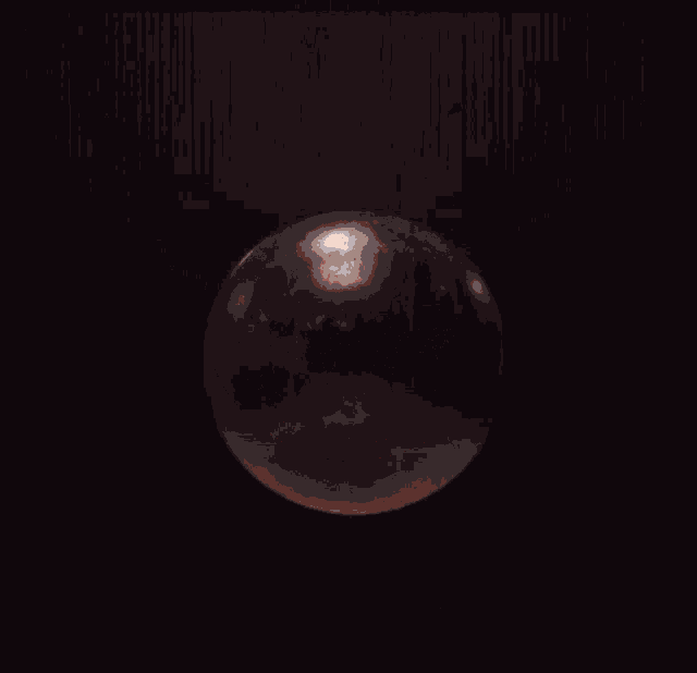 Firs To Fall Bronze GIF