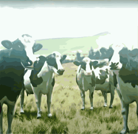 First Of The Month Wake Up Its The First Of The Month GIF