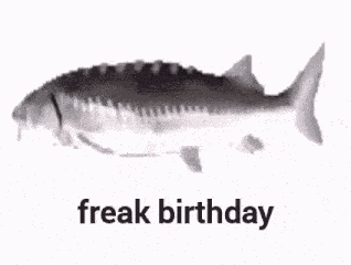 Fish Fish Spin GIF