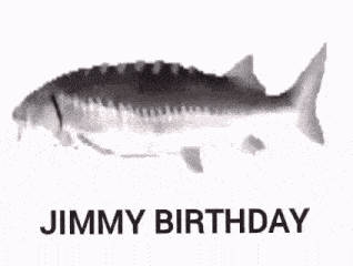 Fish Fish Spin GIF