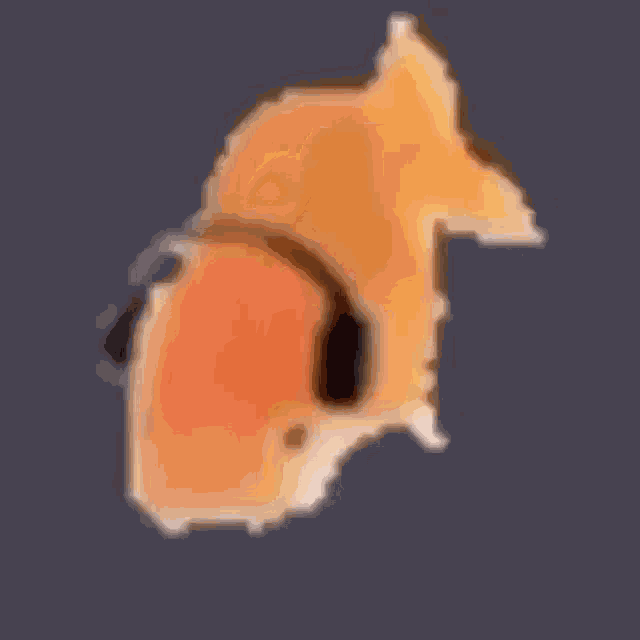 Fish Goldfish GIF