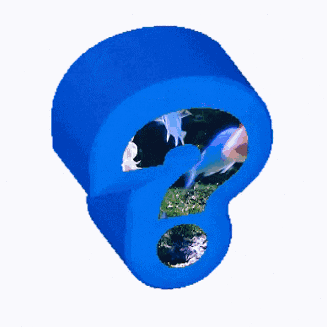 Fish Question Mark GIF