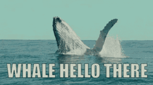 Fish GIF