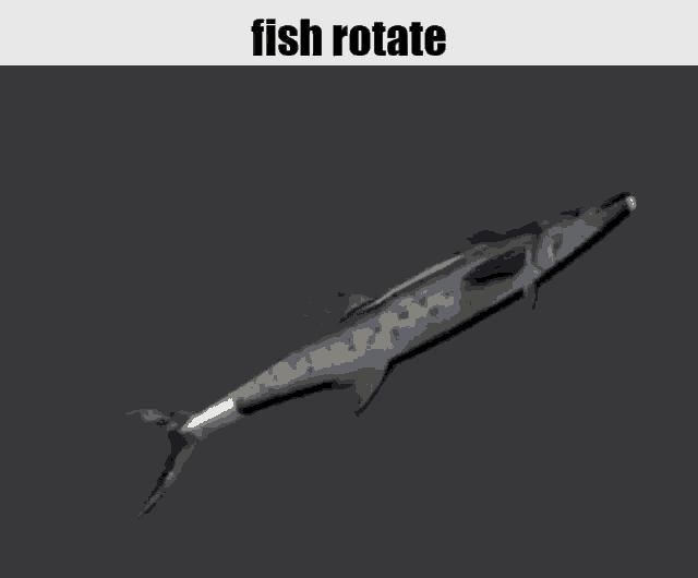 Fish Rotate GIF