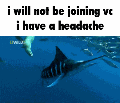 Fish Vc Headache GIF