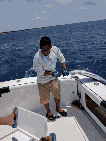 Fishing Big Fish GIF