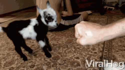 Fist Bump Dap GIF