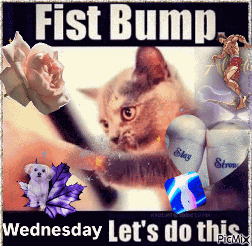 Fist Bump Wednesday GIF