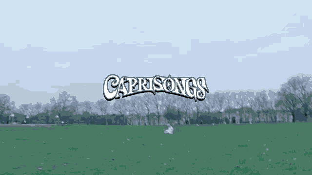 Fka Twigs Caprisongs GIF