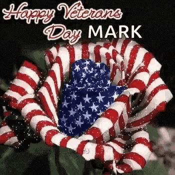 Flag Day Happy Veterans Day GIF