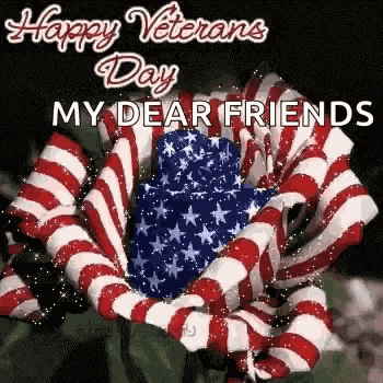Flag Day Happy Veterans Day GIF