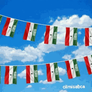 Flag Day GIF