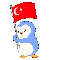 Flag Pengu Sticker