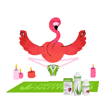 Flamingo Cocktail Summer Cocktail Sticker