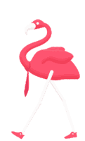Flamingo Fabulous Sticker