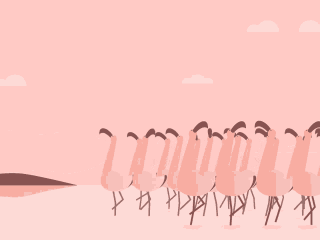 Flamingoes Birds GIF