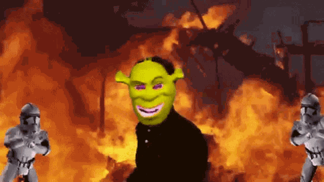 Flex Flex Entertainment GIF