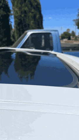 Flip Off Middle Finger GIF