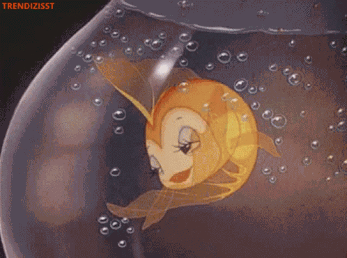 Flirt Wink GIF