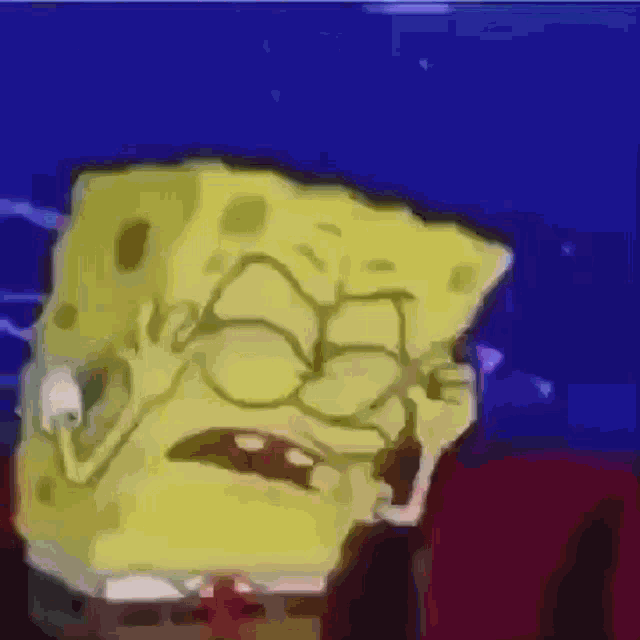 Floreyonce Spongebob GIF