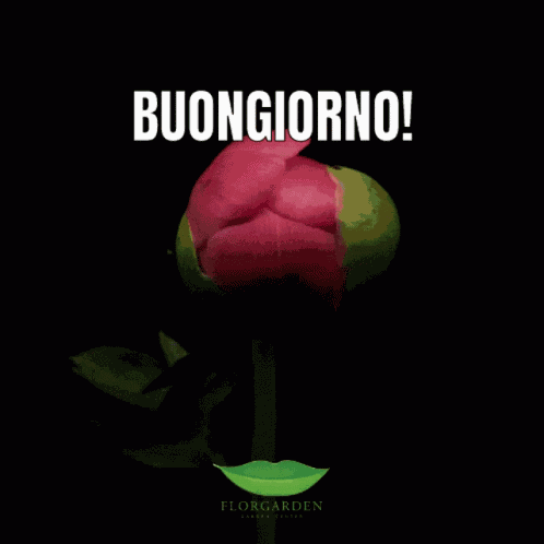 Florgarden Buongiorno GIF