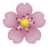 Flower Pink Flower Sticker