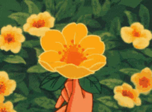Flower GIF