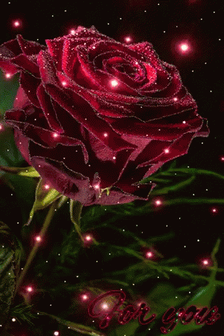 Flower Red GIF