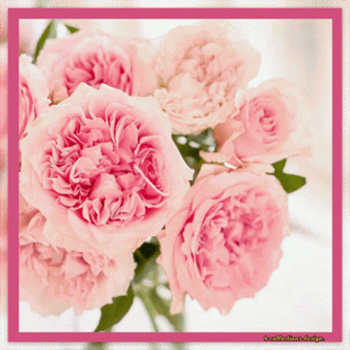 Flowers Good GIF