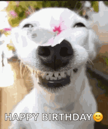 Flowers Puppy GIF