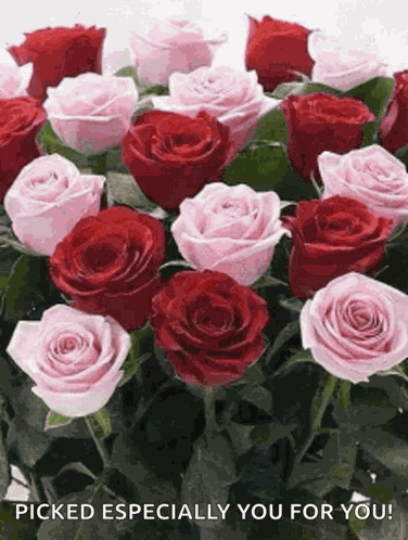 Flowers Roses GIF