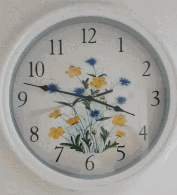 Flowers Time GIF