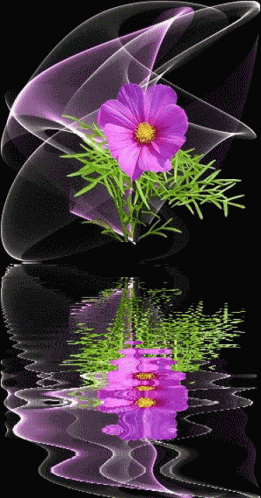 Flowers GIF