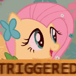 Fluttershy Triggered GIF