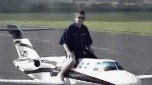 Fly GIF