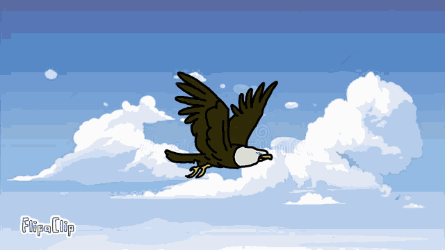 Flying Eagle Eagle GIF