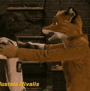 Fmf Fantastic Mr Fox GIF