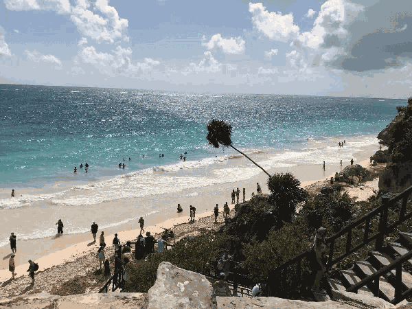 Focusedsq Paradise GIF